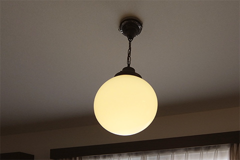 20160522_endo_16.jpg