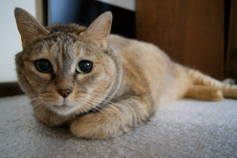 20160610_takeyoshi_10.jpg